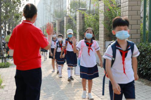 开封爆料小学生事件最新,小学生遭遇校园霸凌事件引发社会关注