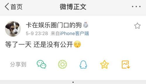 网爆吃瓜爆料视频下载,真相与谣言的交织